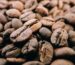 Specialty coffee beans